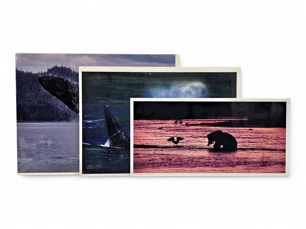 Johnny Johnson "Breach of Worlds", "Sea Wolf" & "River Dance" Photographs