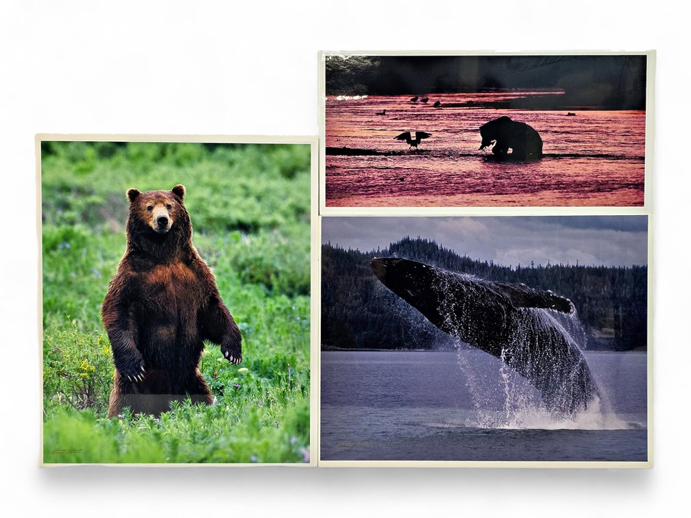 Johnny Johnson "In the Land of Giants", "River Dance" & "Breach of Worlds" Photographs