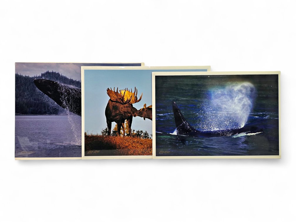 Johnny Johnson "Breach of Worlds", "Romancing the Dawn" & "Sea Wolf" Photographs