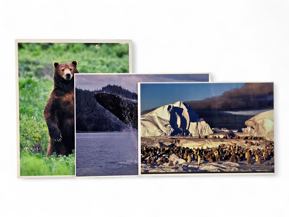 Johnny Johnson "In the Land of Giants", "Breach of Worlds" & "Frozen Eden" Photographs
