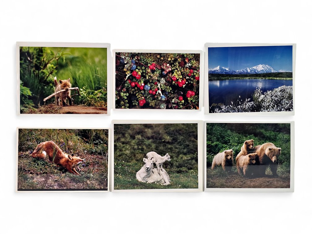 Johnny Johnson "Go Fetch", "Autumn Tundra", "Sacred Ground" Photographs & More