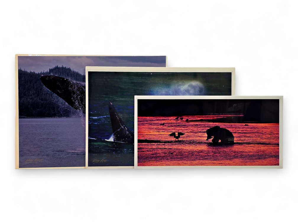 Johnny Johnson "Breach of Worlds", "Sea Wolf" & "River Dance" Photographs