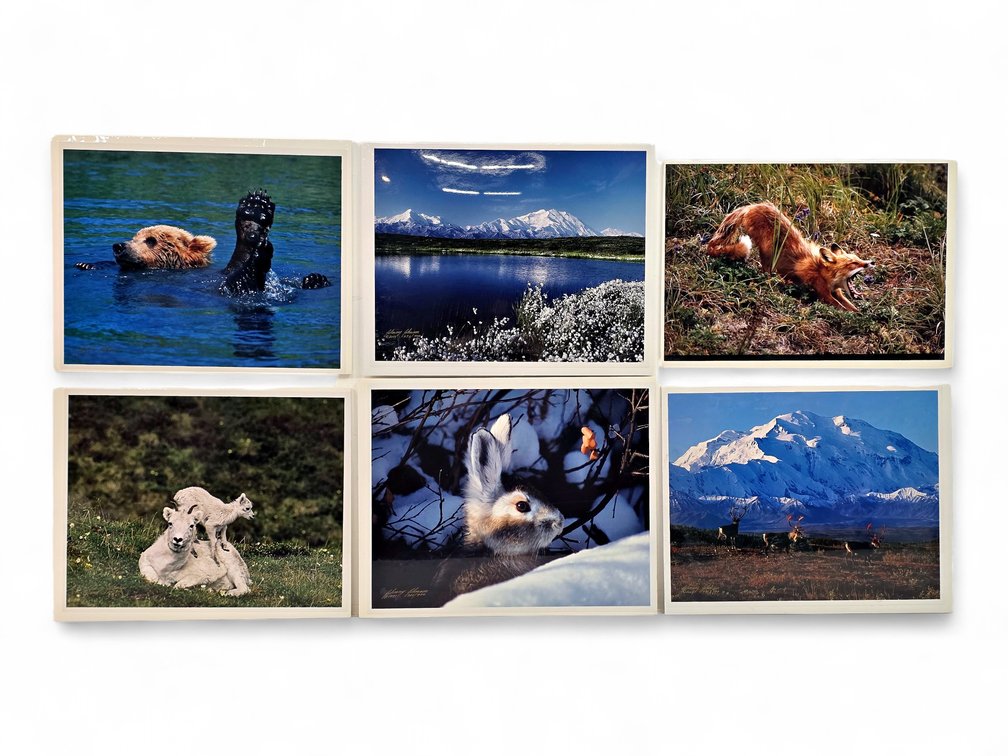 Johnny Johnson "Splish Splash", "Sacred Ground", "Lazy Day" Photographs & More