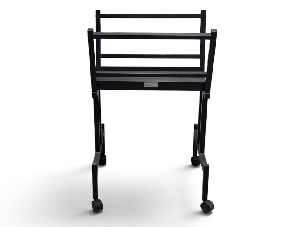 Art Print Rolling Elevated Display Rack