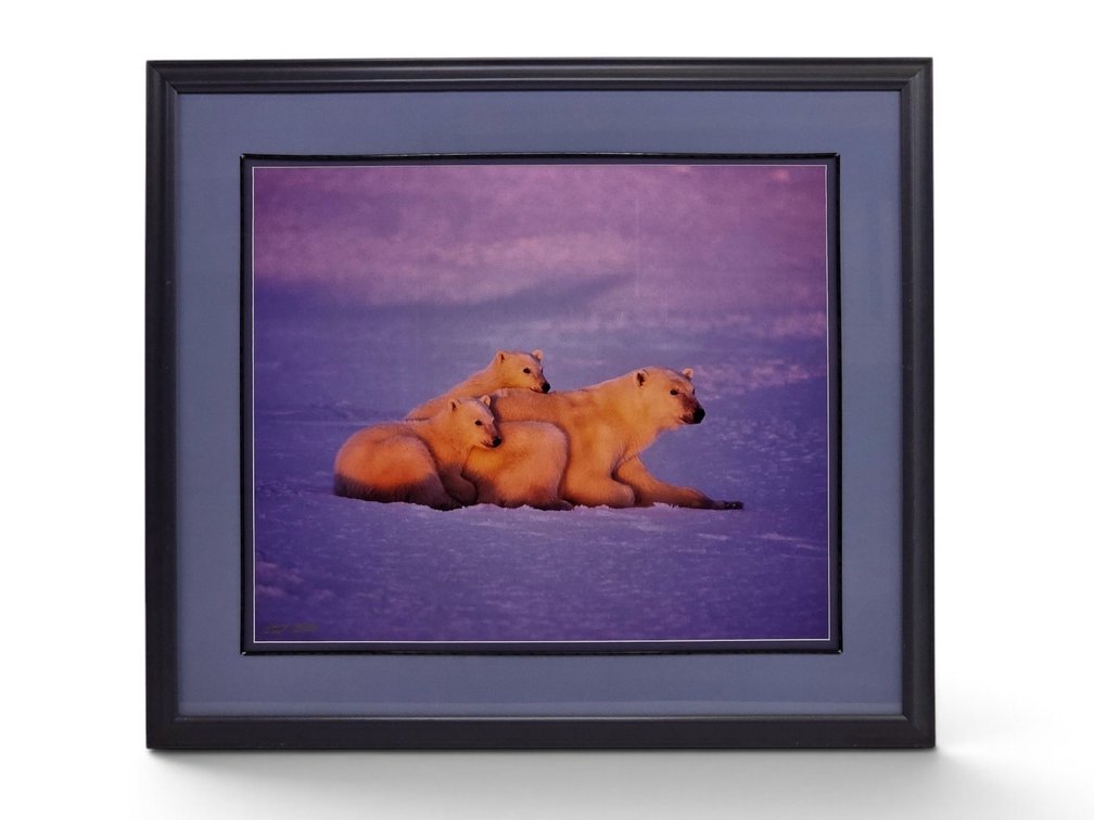 Johnny Johnson "Polar Dawn" Photograph