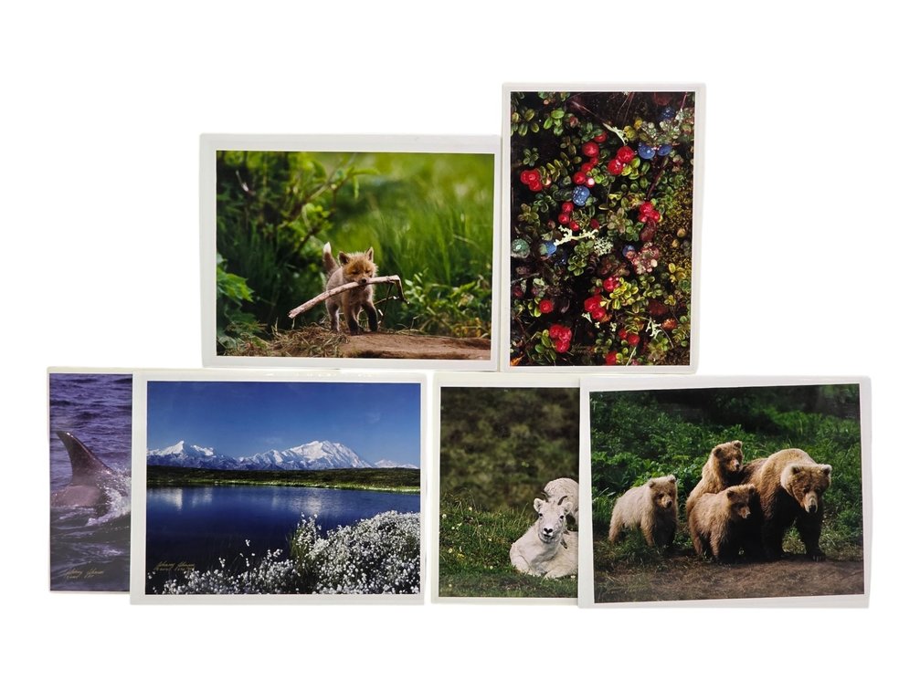 Johnny Johnson "Go Fetch", "Autumn Tundra", "The Wild Bunch" Photographs & More