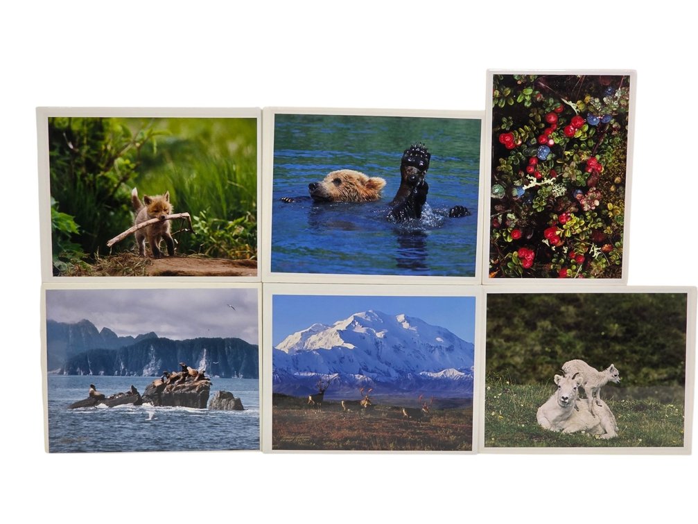 Johnny Johnson "Haul Out Rock", "Go Fetch", "Autumn Tundra" Photographs & More