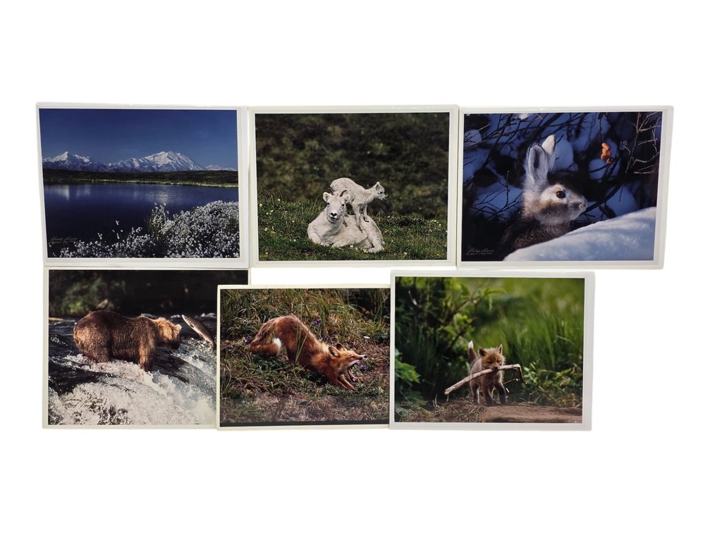 Johnny Johnson "Sacred Ground", "Lazy Day", "Go Fetch" Photographs & More