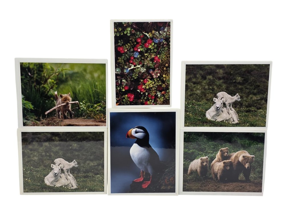 Johnny Johnson "Go Fetch", "Autumn Tundra", "Lamb Chop" Photographs & More