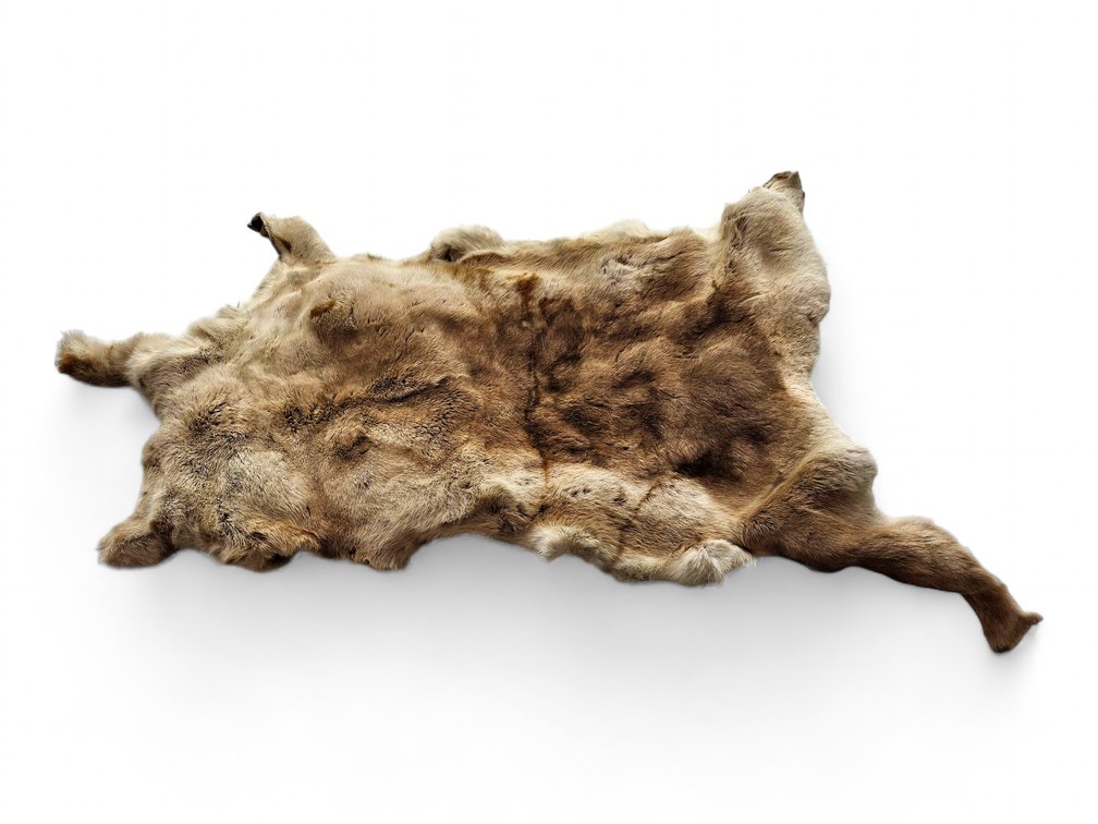 Caribou Hide, Approximately 44 Inches Long