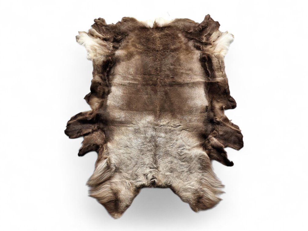 Caribou Hide with Tundra Tanning & Taxidermy Tag Dated November 4, 2017