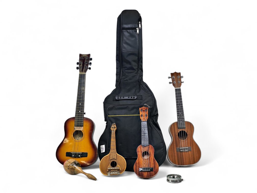 First Act 30-Inch Guitar, Ukuleles, Gourd Instrument, Percussion & Empty Guitar Bag