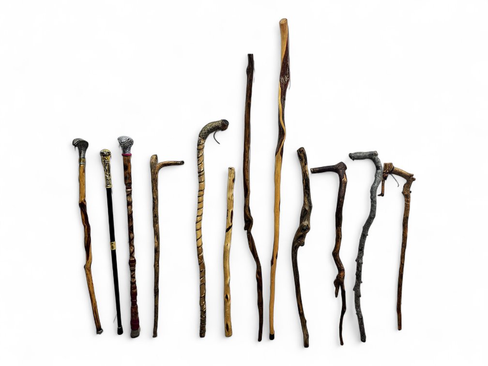 Twelve Walking Sticks & Canes: Cobra Handles, Diamond Willow & Natural Wood