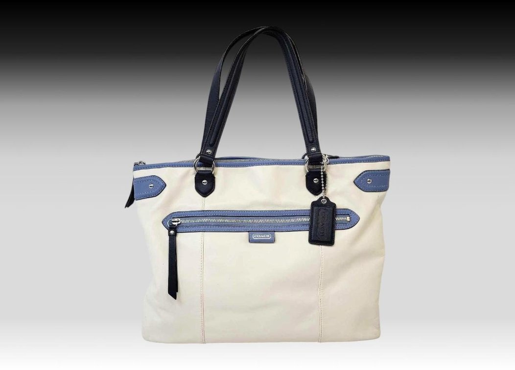 Coach 'Daisy Spectator' Purse