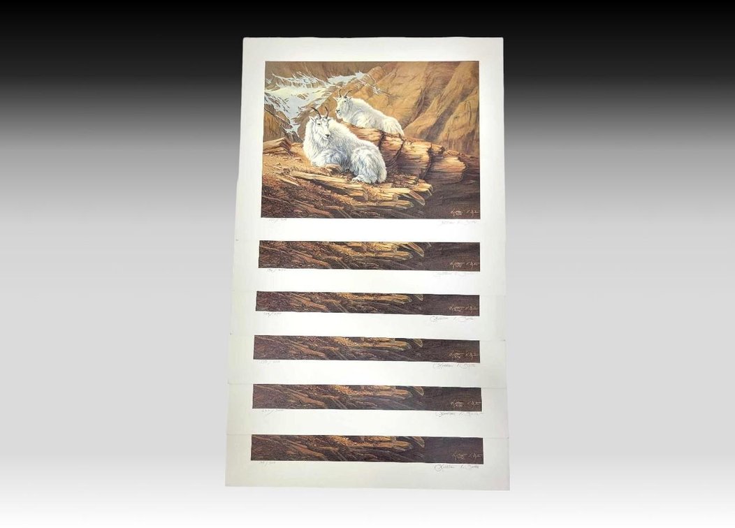 Kathleen Butts Resting Mountain Goats Prints