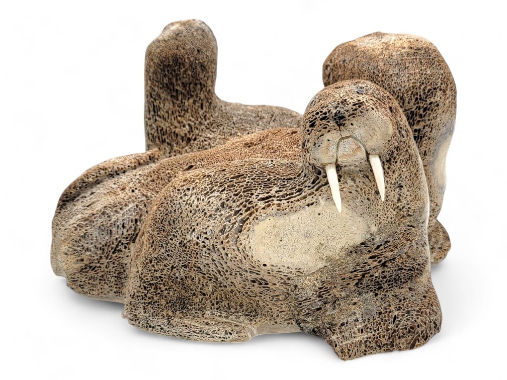 Whale Bone Walrus Sculpture - HB Slwooko
