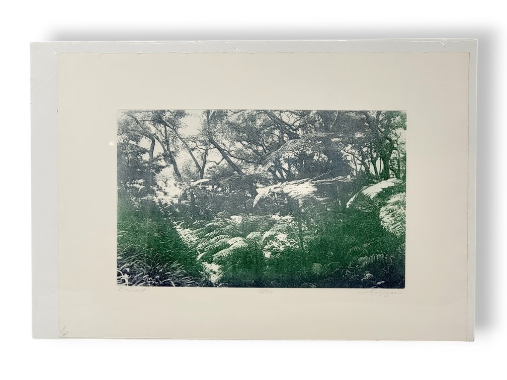 "Rainforest" Landscape Print 