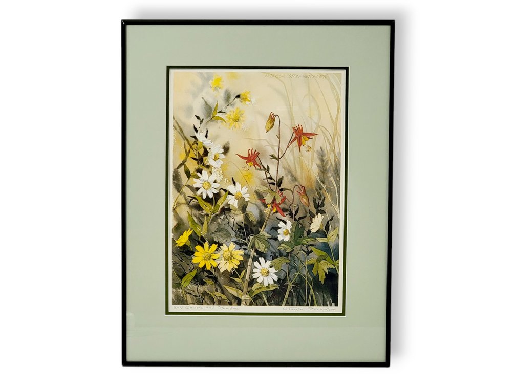 Nancy Taylor Stonington “Wild Daisies and Columbine” Print