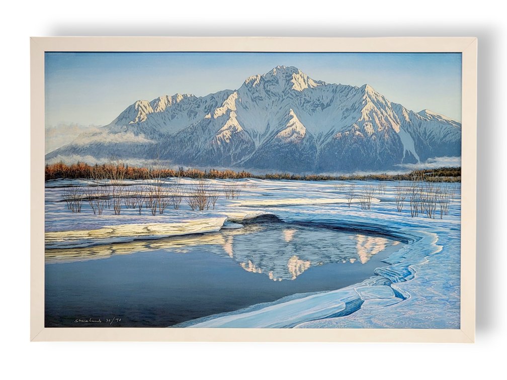 Shane Lamb Chugach Mountain Range Canvas Print