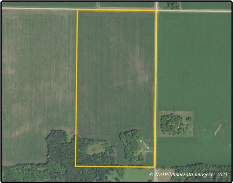 Closed - Parcel 6 - Blue Earth Co., MN - 80.18 Ac., m/l (190-0239-06)