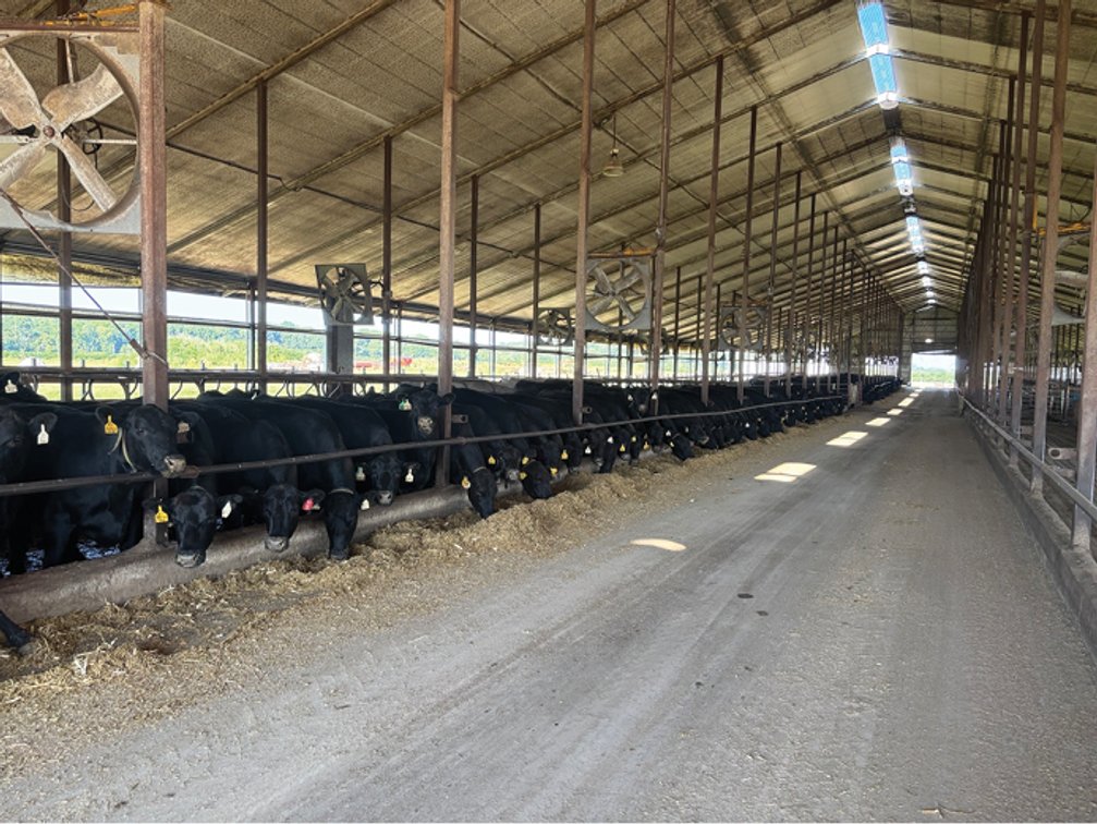 Image for Linn Co., IA - 41.00 Ac., m/l (010-3054-03)