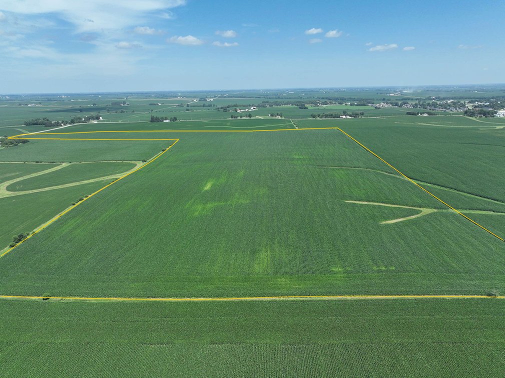 Image for Muscatine Co., IA - 100.00 Ac., m/l (010-3328-01)