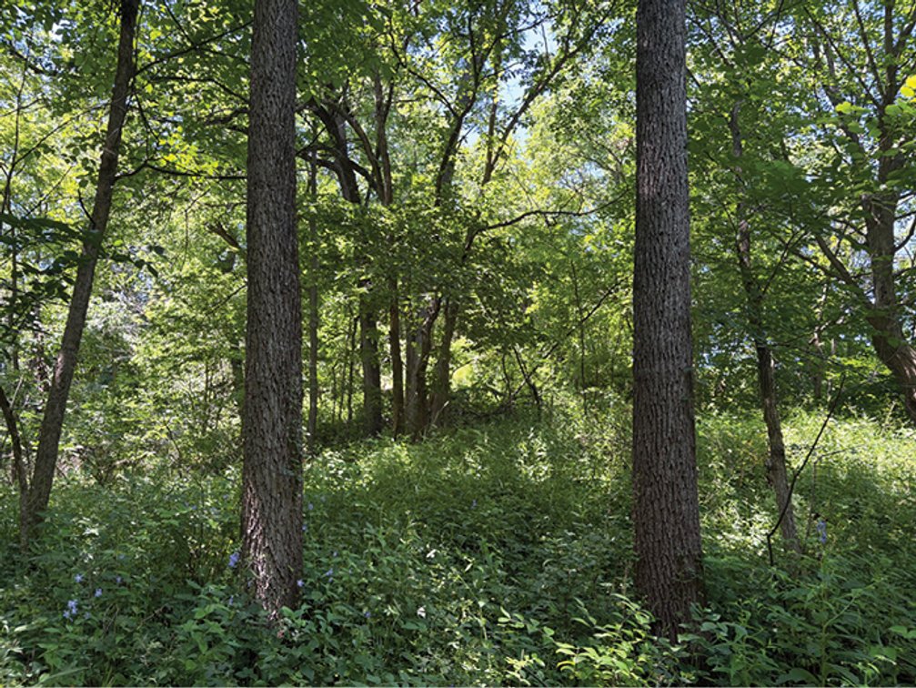 Image for Boone Co., IA - 130.98 Ac., m/l (000-4210-01)