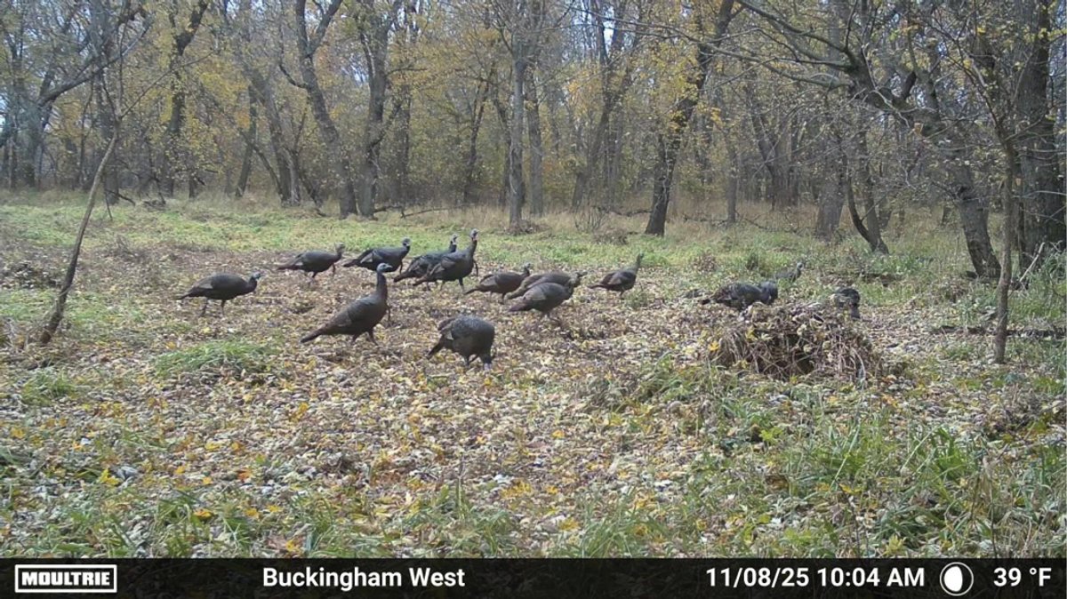 Image for Tama Co., IA - 50.70 Ac., m/l (050-1427-02)