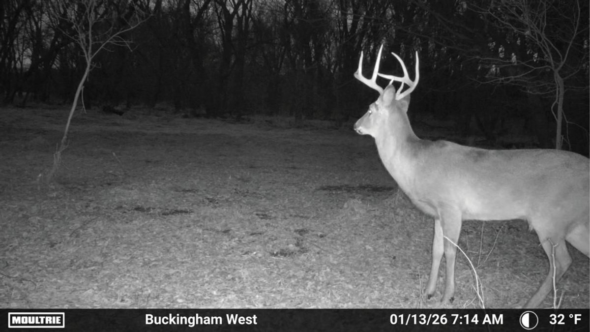 Image for Tama Co., IA - 50.70 Ac., m/l (050-1427-02)