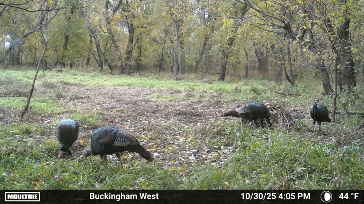Image for Tama Co., IA - 50.70 Ac., m/l (050-1427-02)