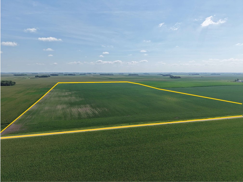 Image for Sibley Co., MN - 233.20 Ac., m/l (190-0341)