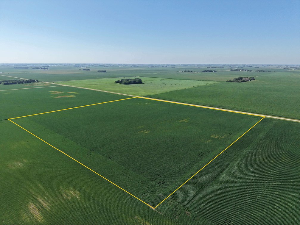 Image for Nicollet Co., MN - 148.00 Ac., m/l (190-0343)