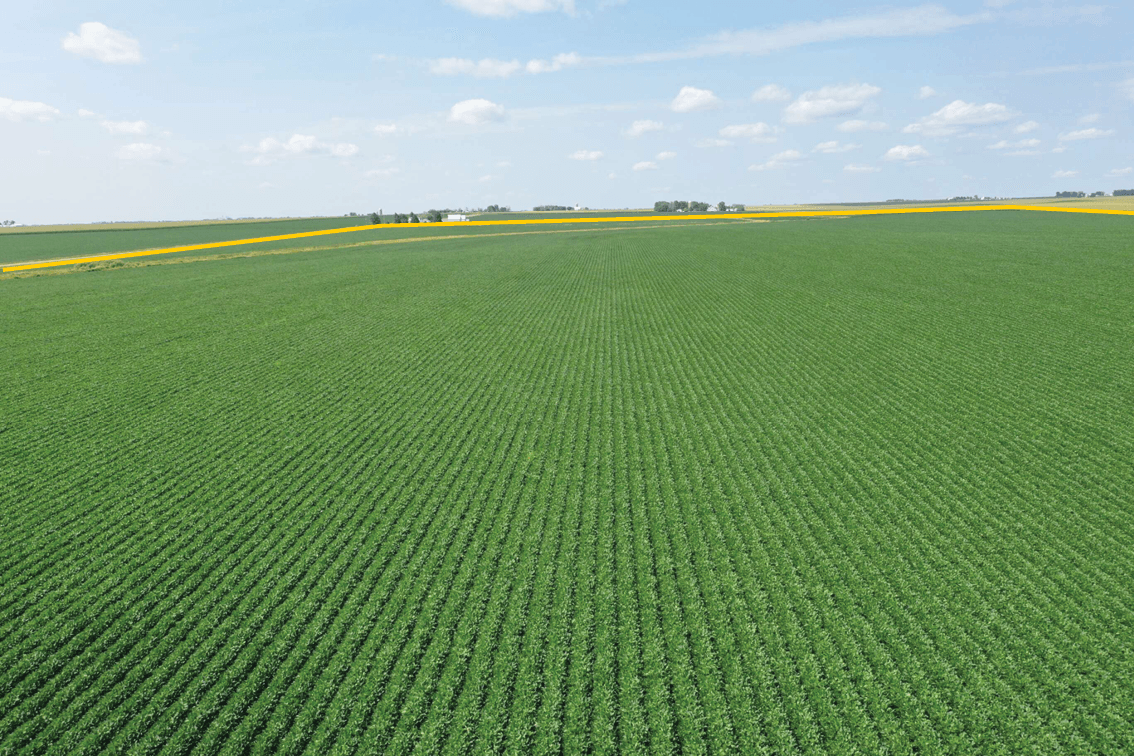 Image for O'Brien Co., IA - 98.93 Ac. m/l (040-0346-01)