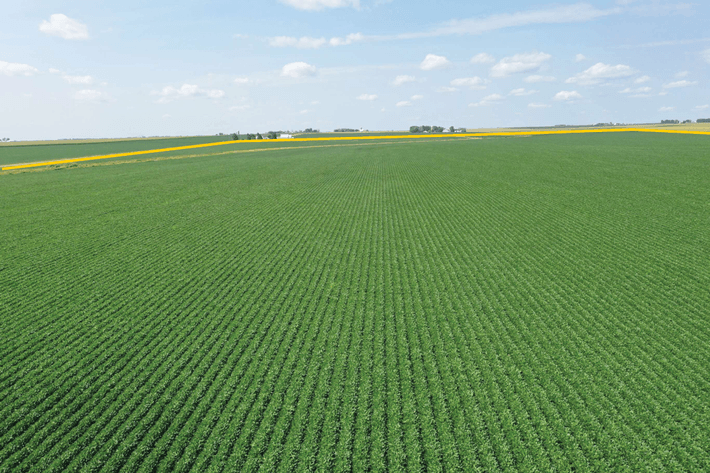 Image for O'Brien Co., IA - 98.93 Ac. m/l (040-0346-01)
