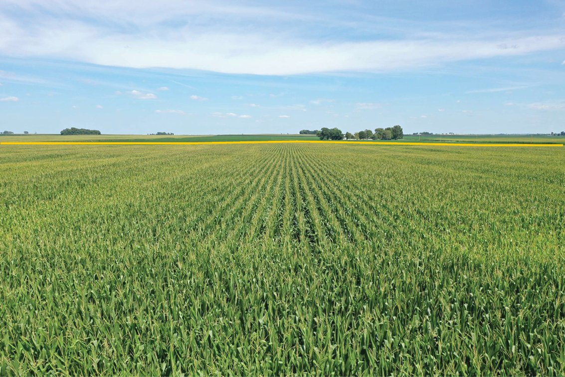 Image for Edgar Co., IL - 390.72 Ac., m/l (030-0525)