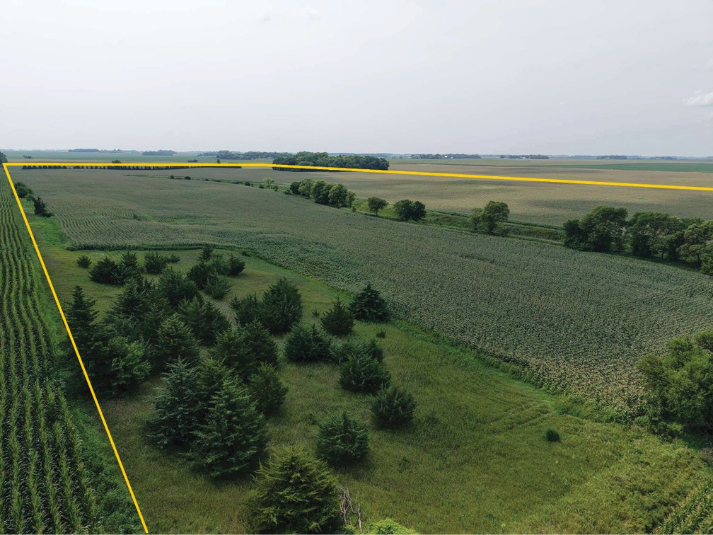 Image for Watonwan Co., MN - 80.00 Ac., m/l (190-0344-01)