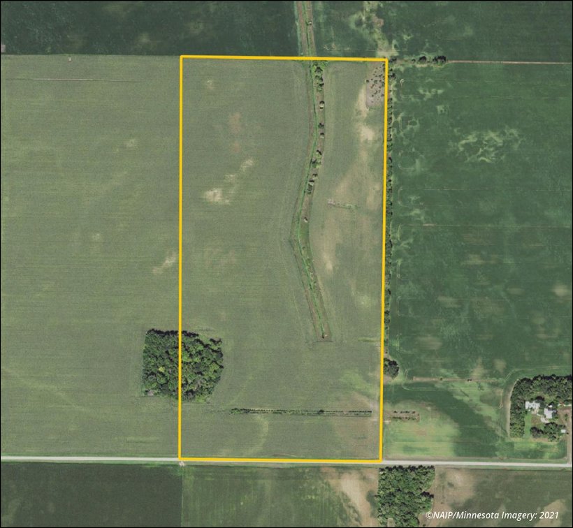 Image for Watonwan Co., MN - 80.00 Ac., m/l (190-0344-01)