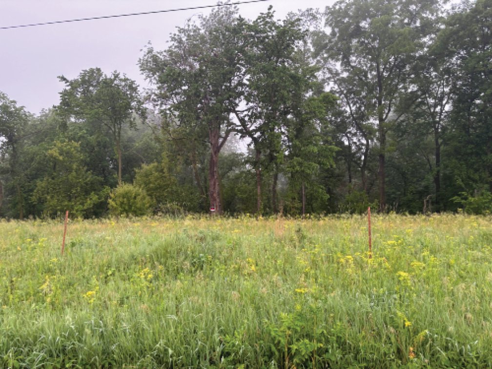 Image for Sale Pending - Dubuque Co., IA - 10.00 Ac., m/l (010-3319-01)