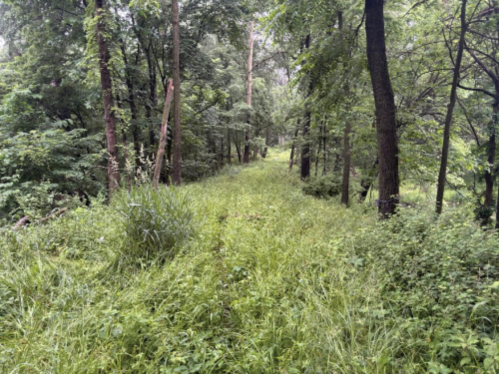 Image for Sale Pending - Dubuque Co., IA - 10.00 Ac., m/l (010-3319-01)