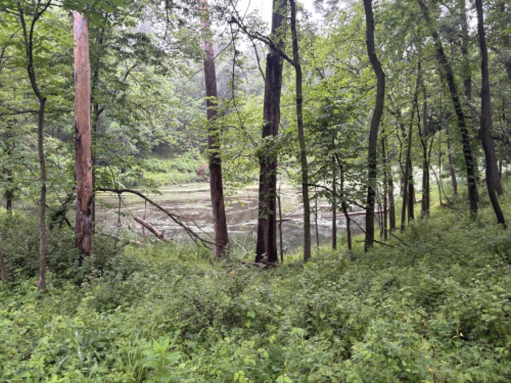 Image for Sale Pending - Dubuque Co., IA - 10.00 Ac., m/l (010-3319-01)