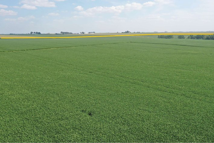 Image for Buchanan Co., IA - 160.00 Ac., m/l (050-1448-01)