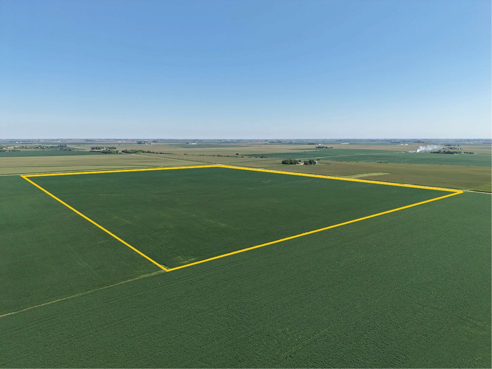 Image for Buena Vista Co., IA - 387.48 Ac., m/l (000-4228)