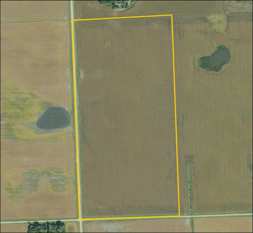 Image for Lac qui Parle Co., MN - 80.00 Ac., m/l (190-0347-01)