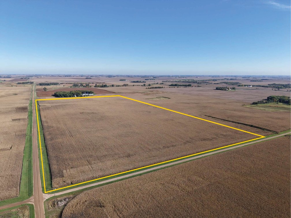Image for Lac qui Parle Co., MN - 80.00 Ac., m/l (190-0347-01)