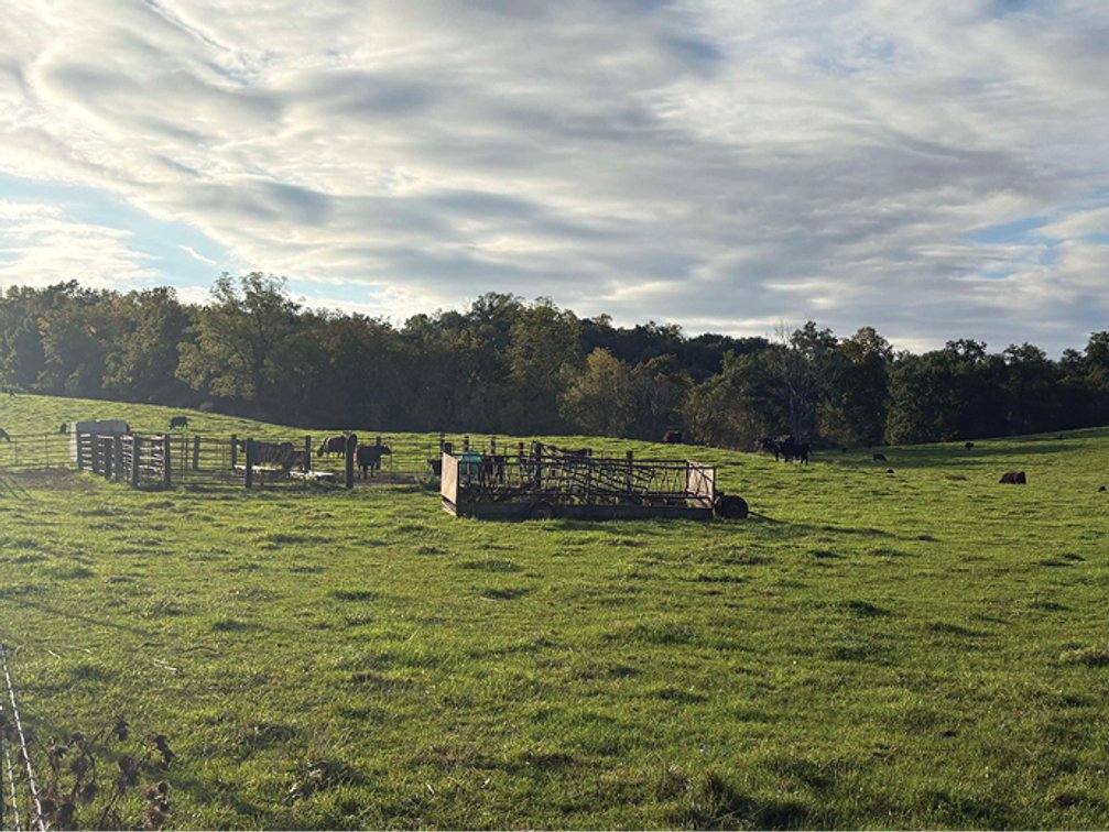 Image for Jones Co., IA - 99.97 Ac., m/l (010-3331-03)