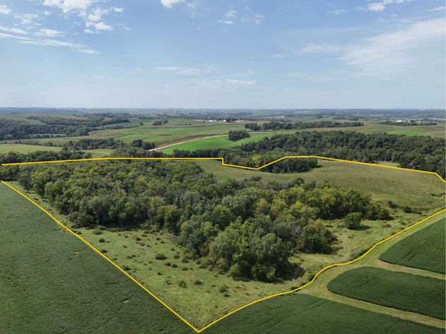 Image for Jones Co., IA - 49.06 Ac., m/l (010-3331-04)