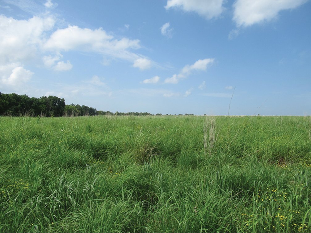 Image for Delaware Co., IA - 97.95 Ac., m/l (010-3329-02)