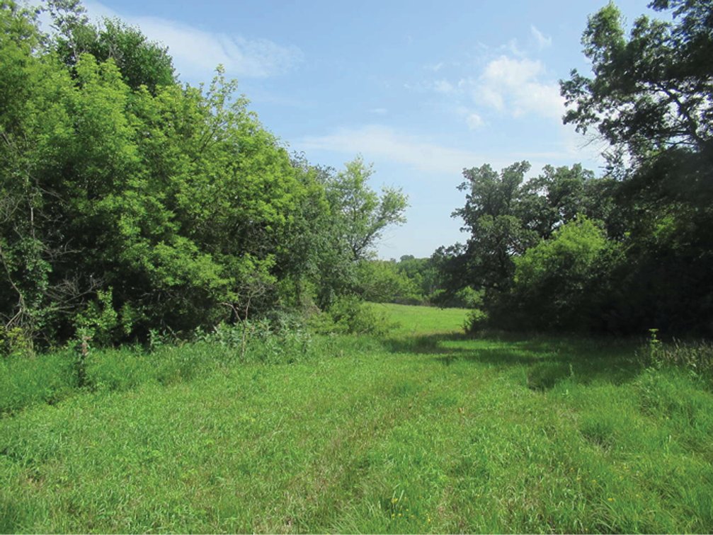 Image for Delaware Co., IA - 97.95 Ac., m/l (010-3329-02)