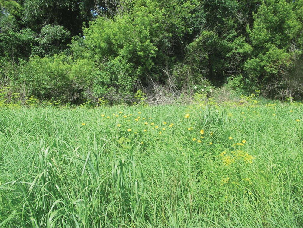 Image for Delaware Co., IA - 97.95 Ac., m/l (010-3329-02)