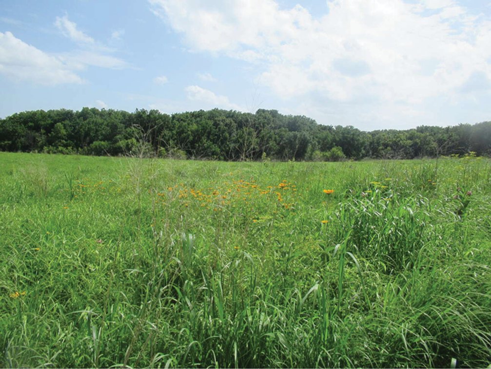 Image for Delaware Co., IA - 97.95 Ac., m/l (010-3329-02)